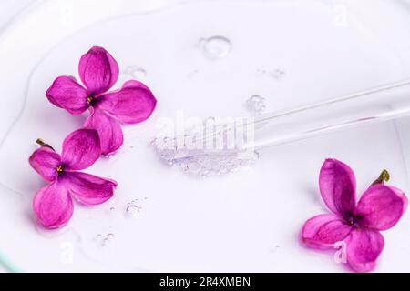 Pipette with serum, oil, gel with lilac flowers on white background. Skin care, natural beauty products concept. Closeup. Stock Photo