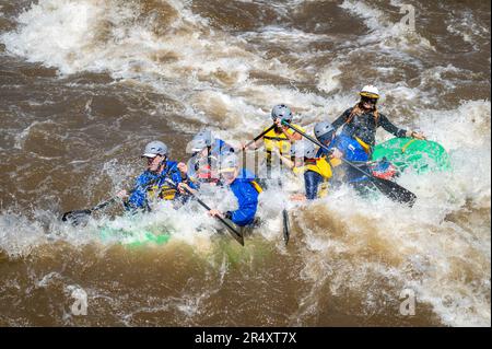 Truly adventure photograph of people taking on the rough water of the Arkansas River in spring of 2023 after lots of rain and snow melt made for some Stock Photo