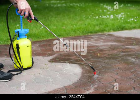 Spraying organic, environmentally-friendly spirit vinegar onto the natural stone pavement (driveway, parking lot) to remove weeds and moss in an eco Stock Photo