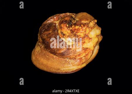 Tasty pork knuckle Stock Photo