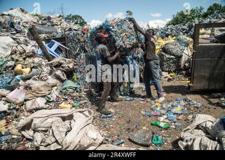 Workers move a bale of plastic bottles at a recycling plant in Nakuru. Negotiators have gathered in Paris, France for the second round of deliberations to develop a global treaty aimed at tackling the escalating issue of plastic pollution. According to a recent report by the United Nations Environment Programme (UNEP), countries have the potential to reduce plastic pollution by 80% by 2040 by eliminating unnecessary plastics, implementing recycling and reuse strategies, introducing deposit return schemes, and substituting plastic with sustainable alternative materials. Stock Photo