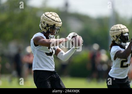 Houston Texans running back Dameon Pierce (31) during an NFL preseason  football game against the New Orleans Saints, Sunday, Aug. 27, 2023, in New  Orleans. (AP Photo/Tyler Kaufman Stock Photo - Alamy