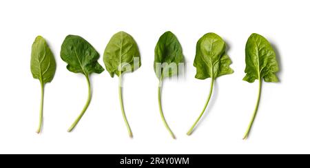 Fresh organic spinach leaves, top view, flat lay, isolated on white background. Stock Photo