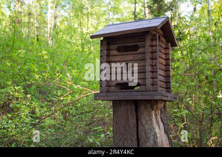 Wooden feeder for wild animals living in the grove. A manger for for squirrels and other rodents made in a form of a house in the park. Stock Photo