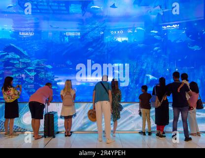 People looking at the aquarium inside Dubai Shopping Mall Stock Photo