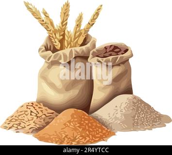 Fresh rice and organic wheat Stock Vector