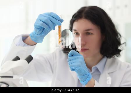 Focused worker looks at buckwheat in tube through magnifier Stock Photo