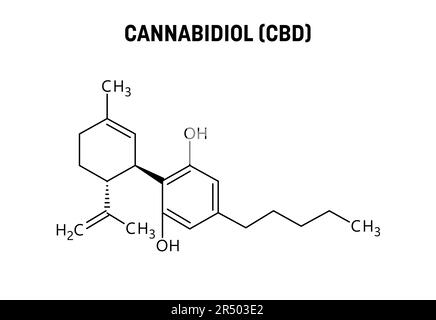 Cannabidiol, or CBD, molecular structure. Cannabidiol is a phytocannabinoid extracted from cannabis. Vector structural formula of chemical compound. Stock Vector