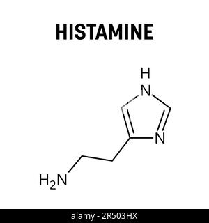 Histamine molecular structure. Histamine is organic compound involved in local immune responses, regulating physiological functions and acting as neurotransmitter. Vector structural formula of chemical compound. Stock Vector