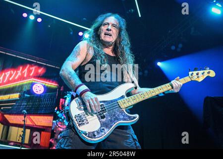 Steve Harris (Iron Maiden) on 19.08.1984 in Laibach / Ljubljana ...