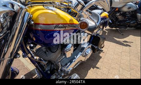 Bordeaux , Aquitaine  France - 05 29 2023 : harley davidson logo text and brand sign on petrol blue yellow paint tank fuel black of american custom Mo Stock Photo