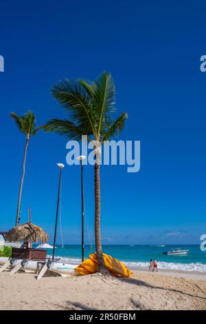 View of palm trees on Bavaro Beach, Punta Cana, Dominican Republic, West Indies, Caribbean, Central America Stock Photo