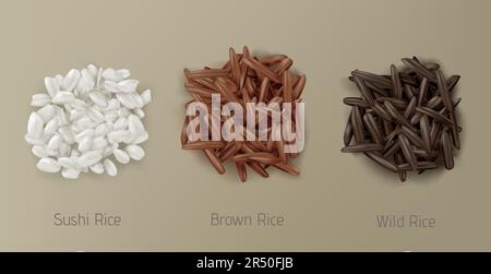 Rice sushi, brown and wild grain piles top view isolated on white background. Vegetarian organic raw food, different cereals types for sushi and healthy eating, realistic 3d vector icon, clip art Stock Vector