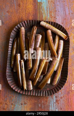 A top view of mussel shells and razor shells on a beach Stock Photo - Alamy