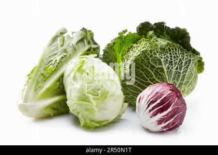 Various heads of lettuce and a savoy cabbage against a white background Stock Photo