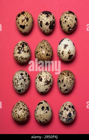 Quail eggs on a pink background Stock Photo