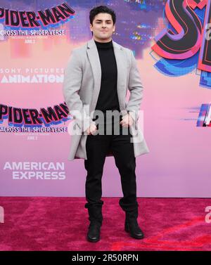 SPIDER-MAN: ACROSS THE SPIDER-VERSE Premiere Red Carpet Rundown - Tom +  Lorenzo