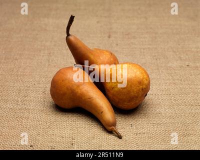 Pears of the variety 'Beurre bosc' on sackcloth Stock Photo