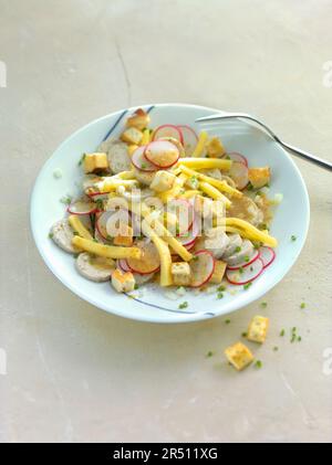 White sausage salad with radishes, cheese, and croutons Stock Photo