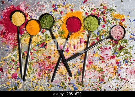 Spices and herbs on black spoons with dried flowers Stock Photo