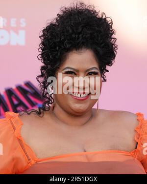Danielle Perez arrives at the Sony Pictures Animation's SPIDER-MAN