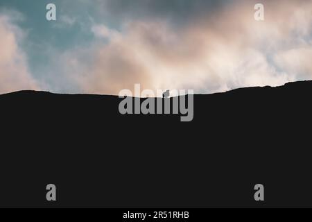 A wide shot of a lone sheep silhouetted against a partly cloudy sky, with lots of copy space Stock Photo