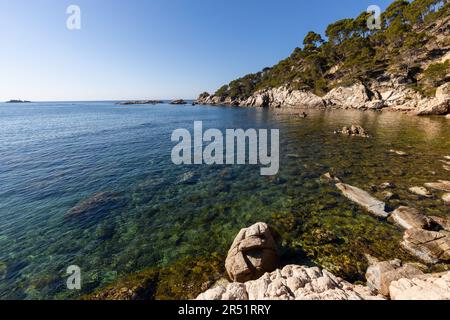 Nature in all its splendor: an experience for the senses. Costa Brava, near small town Palamos, Spain Stock Photo