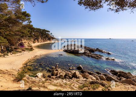 Nature in all its splendor: an experience for the senses. Costa Brava, near small town Palamos, Spain Stock Photo