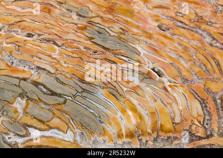 Top view abstract background of textured rough surface of brown onyx stone with silver lines Stock Photo