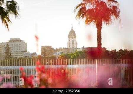 Scenic view of bright colorful trees and buildings in city under cloudy sky at twilight time on background with glowing lights Stock Photo