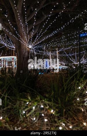 Nights of Lights holiday Christmas celebration in the park and historic downtown area of St. Augustine Florida Stock Photo