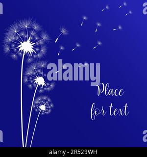 Dandelion flowers with seeds that fly away in the wind. Stock Vector