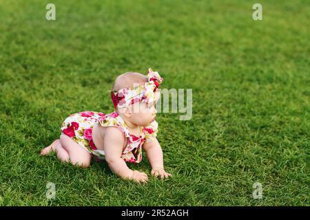 Outdoor portrait of adorable 6 months old baby girl playing in summer park, child crawling on fresh green lawn Stock Photo
