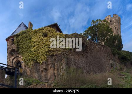 Former Thurant Castle, built in 1197, today castle ruins, Alken on the Moselle, Rhineland-Palatinate, Germany Stock Photo