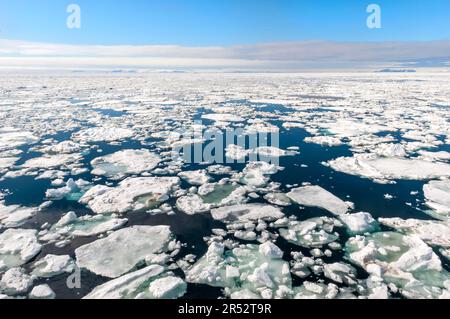 Pack Ice, Barents Sea, Spitsbergen, East Coast, Svalbard Archipelago, Norway Stock Photo