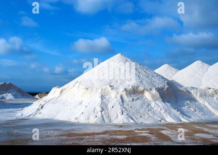 Sea salt in the Salines de Llevant near Es Trenc, salt, salt production, Majorca, Balearic Islands, Spain Stock Photo