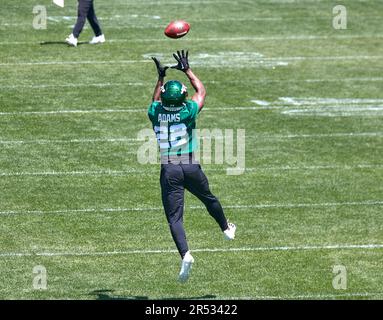 New York Jets safety Tony Adams (22) defends against the Atlanta