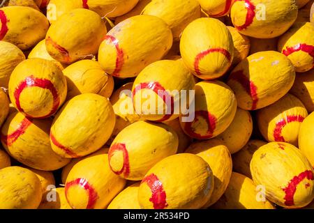 Canary Melons for sale in Marrakesh, Morocco Stock Photo
