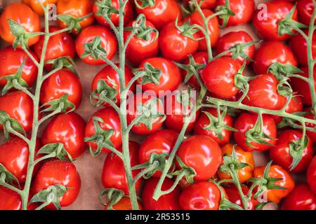 Close up of a box of tomatoes in a veggie market in Sartene Stock Photo