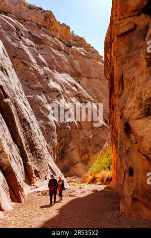Hikers exploring the Capital Gorge Trail; Capital Reef National Park; Utah; USA Stock Photo