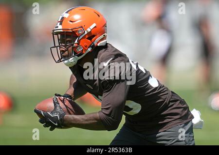 Philadelphia, USA. 17th Aug, 2023. August 17, 2023, Philadelphia, PA, USA:  August 17, 2023: Cleveland Browns running back Hassan Hall (30) has the  ball knocked loose on a hit during the NFL