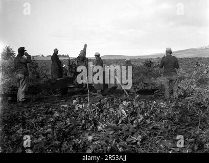 Schwere Feldhaubitze sFH 18 15 cm Wehrmacht Heer 3. Reich - Heavy Field Howitzer Model 18 15cm / 150mm German Army / Nazi Germany Stock Photo