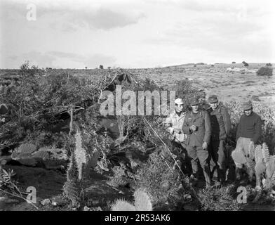 Schwere Feldhaubitze sFH 18 15 cm Wehrmacht Heer 3. Reich - Heavy Field Howitzer Model 18 15cm / 150mm German Army / Nazi Germany Stock Photo