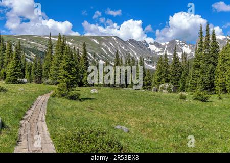 Boardwalk Mountain Trail - A boardwalk section of Long Lake Trail winding towards evergreen forest and Indian Peaks. Indian Peaks Wilderness, CO, USA. Stock Photo