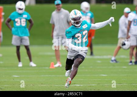 Miami Dolphins safety Verone McKinley III (32) runs back to the