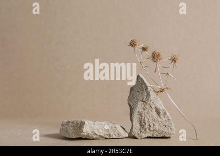 Abstract nature scene composition of stones Dried flowers, Stone podium product placement concept on biege background. interior design. copyspace. Stock Photo
