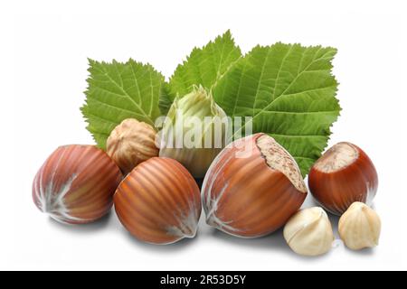 Hazelnuts-filberts in shell, whole with leaves isolated on white background Stock Photo