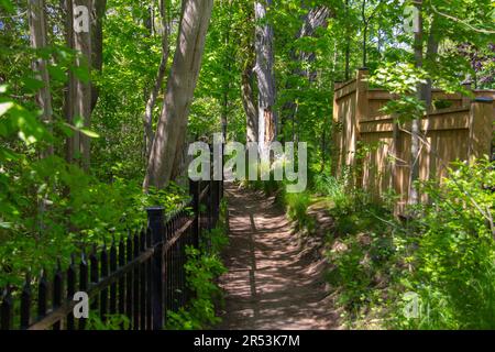 Nature trail in a park overlooking the Elora Gorge Stock Photo
