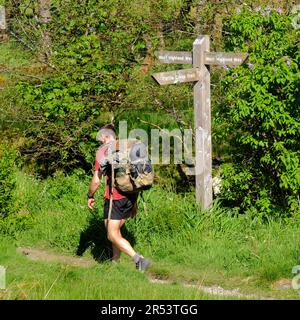 Walker passing a Fingerpost sign for the Cattle Creep Trail and the West Highland Way, Tyndrum, Scotland Stock Photo