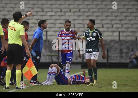 Fortaleza, (CE) 31/05/2023 - Copa do Brasil / Fortaleza x Palmeiras - Abel Ferreira técnico do Palmeiras durante partida entre Fortaleza x Palmeiras d Stock Photo